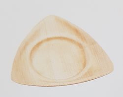 צלחת משולש 10 יחידות