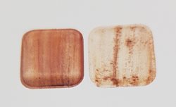 צלחת ריבוע 15, 10 יחידות