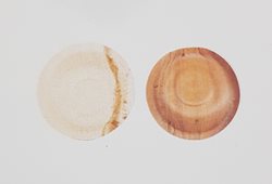 קערה עגולה 15, 10 יחידות