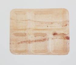 מגש מלבן מחולק 5, 5 יחידות